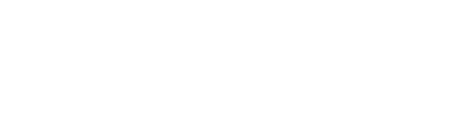 WAVE white logo-1